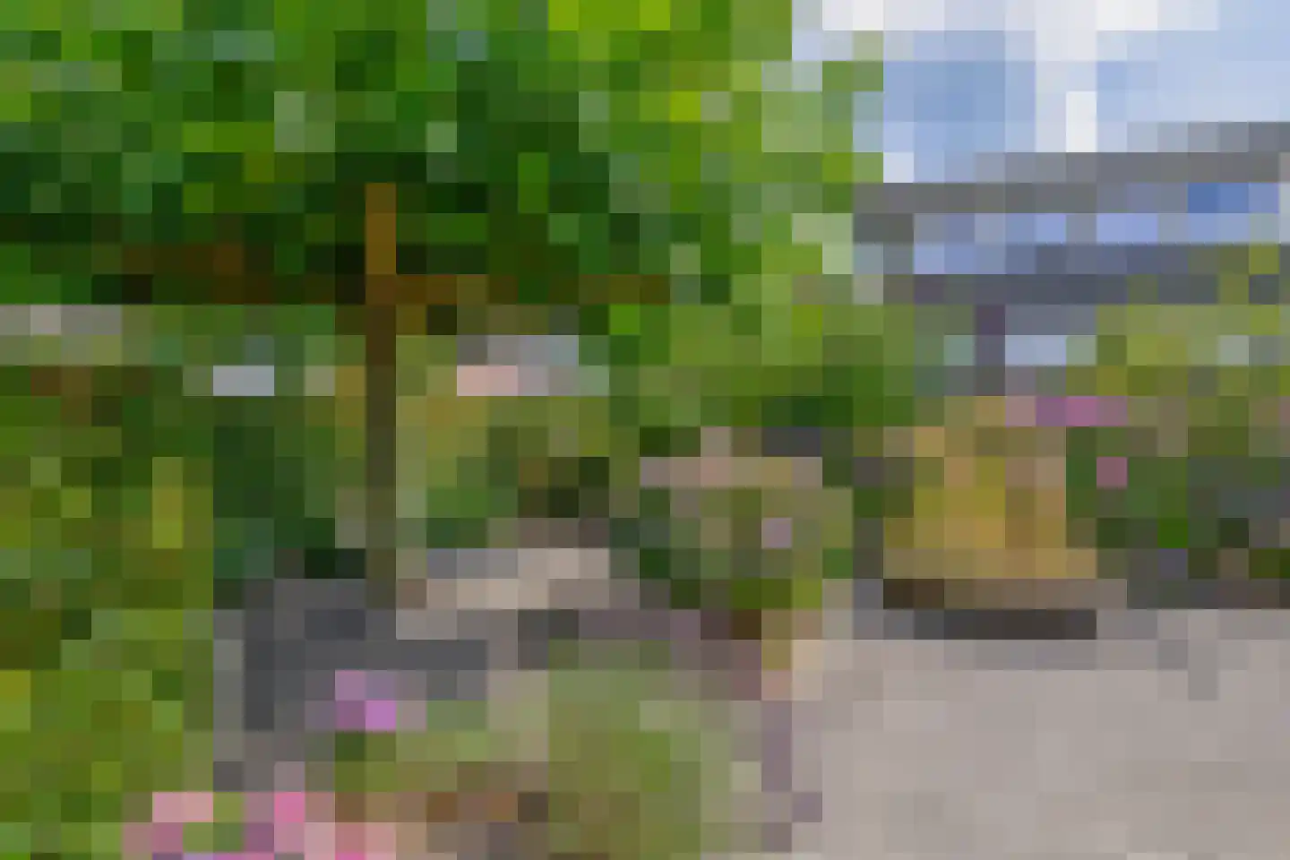 Broekfinne 149 De Wilgen thumbnail 39