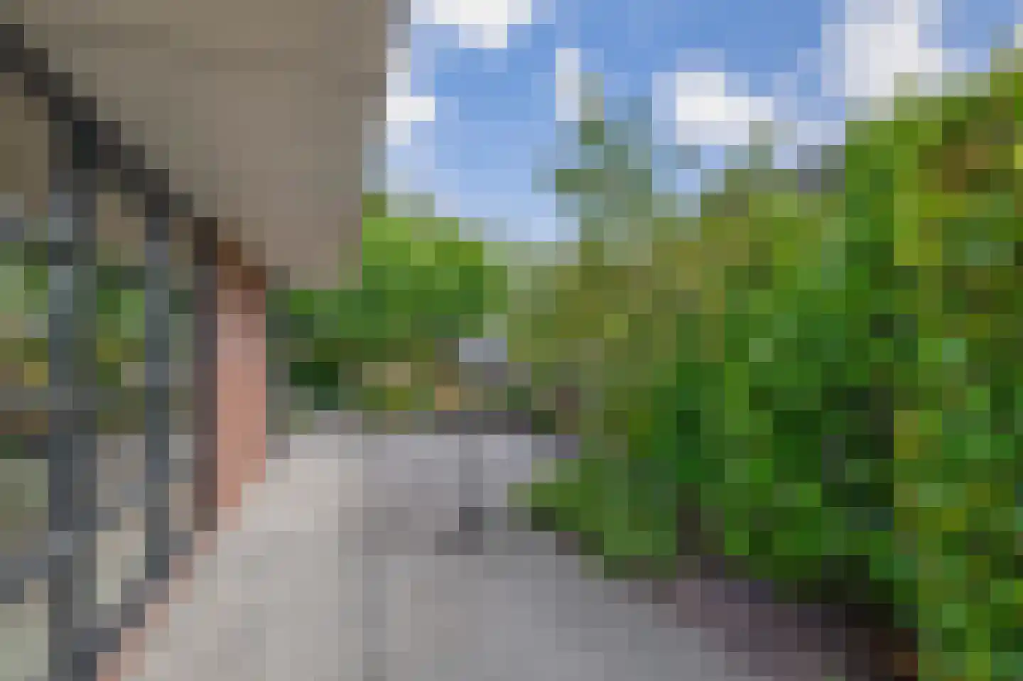 Broekfinne 149 De Wilgen thumbnail 41