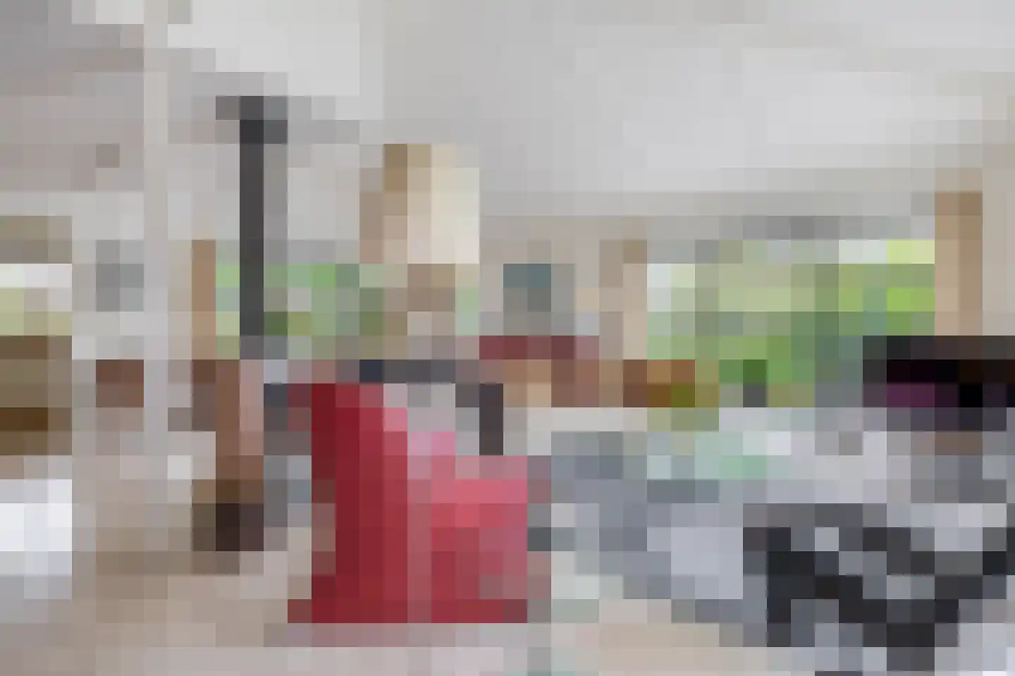 Broekfinne 149 De Wilgen thumbnail 6