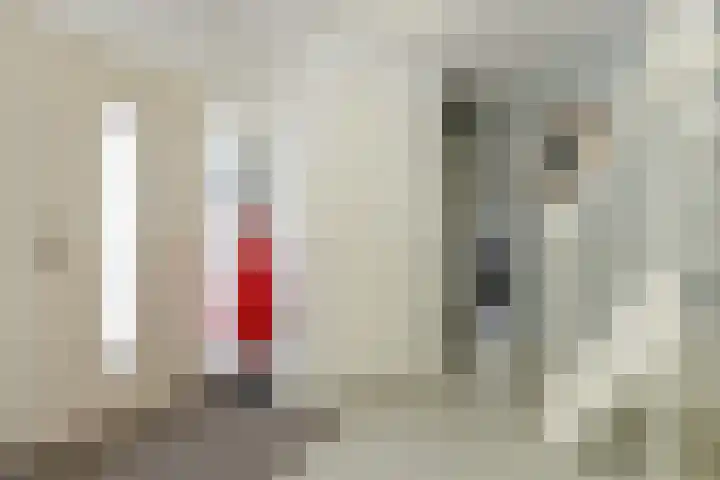 Broekfinne 155 De Wilgen thumbnail 14