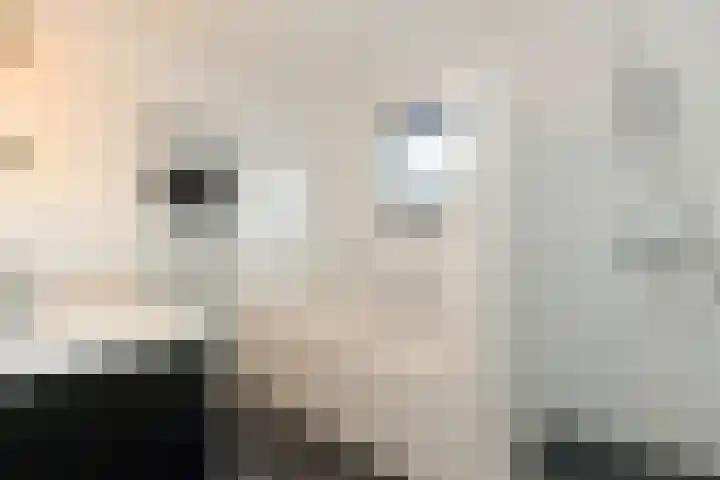 Broekfinne 155 De Wilgen thumbnail 16