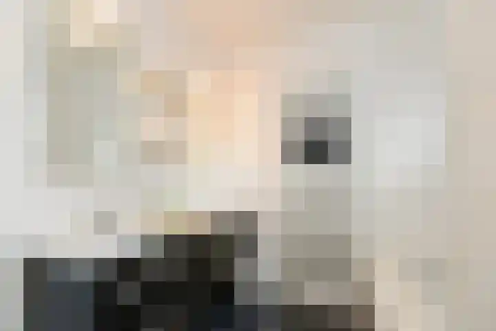 Broekfinne 155 De Wilgen thumbnail 17