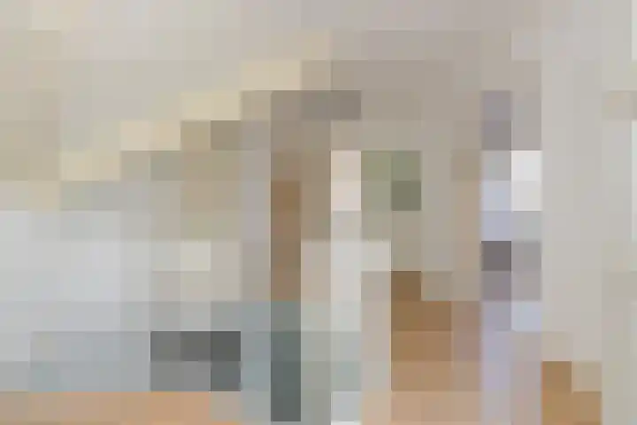 Broekfinne 155 De Wilgen thumbnail 37