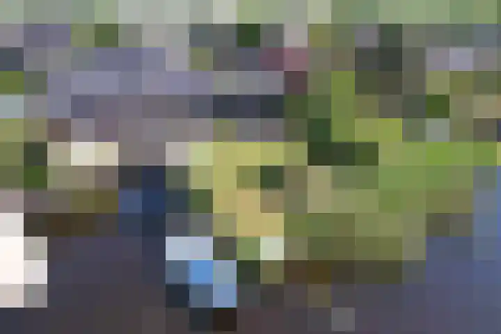 Broekfinne 155 De Wilgen thumbnail 4