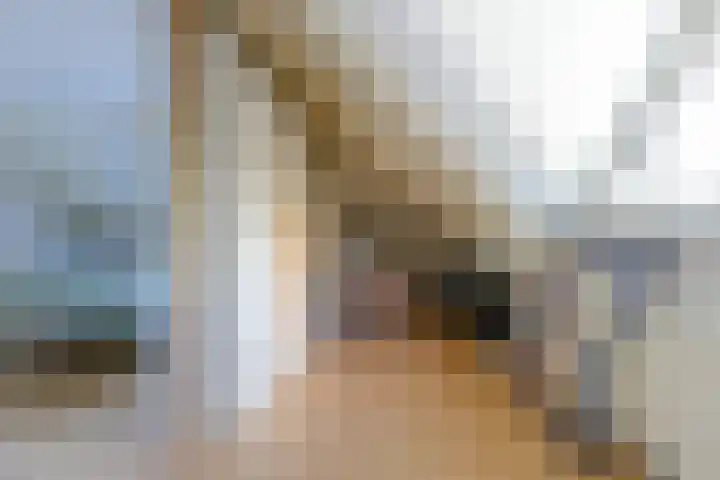 Broekfinne 155 De Wilgen thumbnail 41