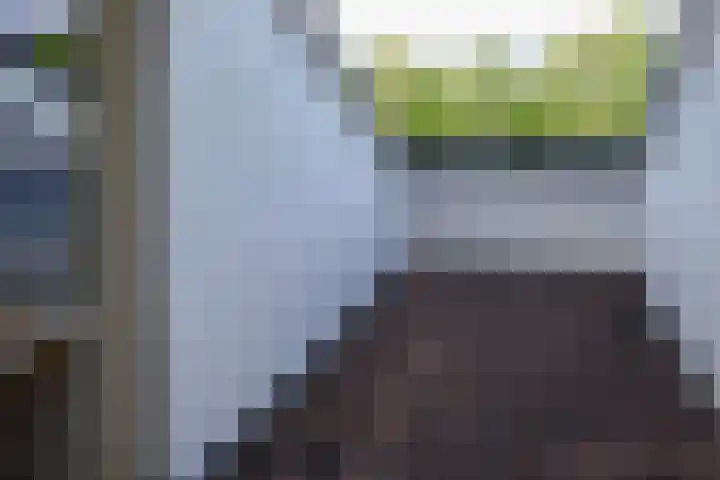 Broekfinne 155 De Wilgen thumbnail 42