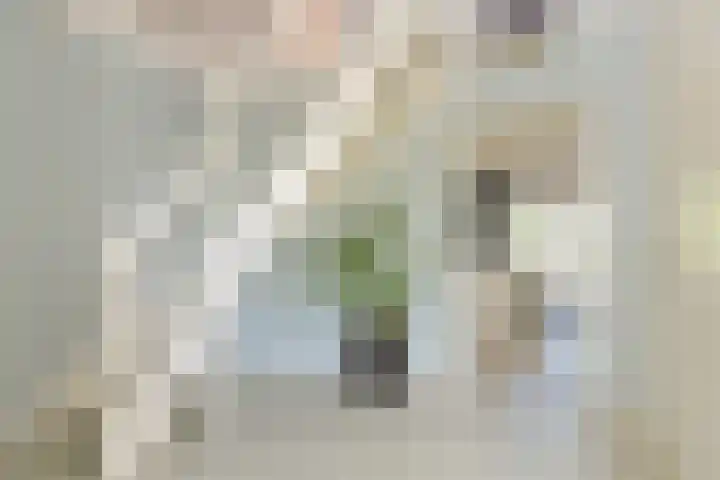 Broekfinne 155 De Wilgen thumbnail 5