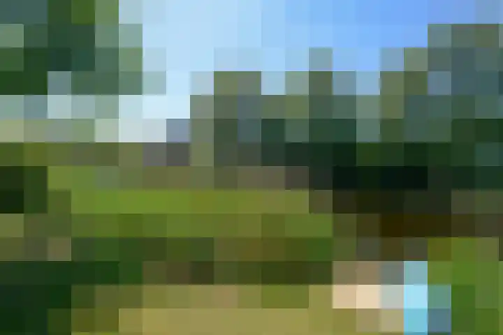 Broekfinne 155 De Wilgen thumbnail 51