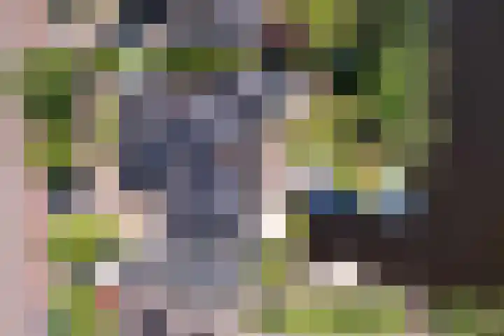 Broekfinne 155 De Wilgen thumbnail 57