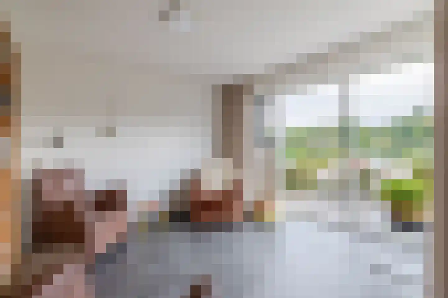 Broekfinne 169 De Wilgen thumbnail 11