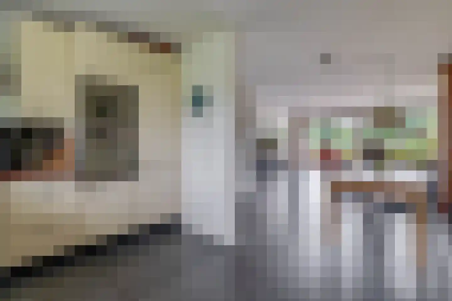 Broekfinne 169 De Wilgen thumbnail 14