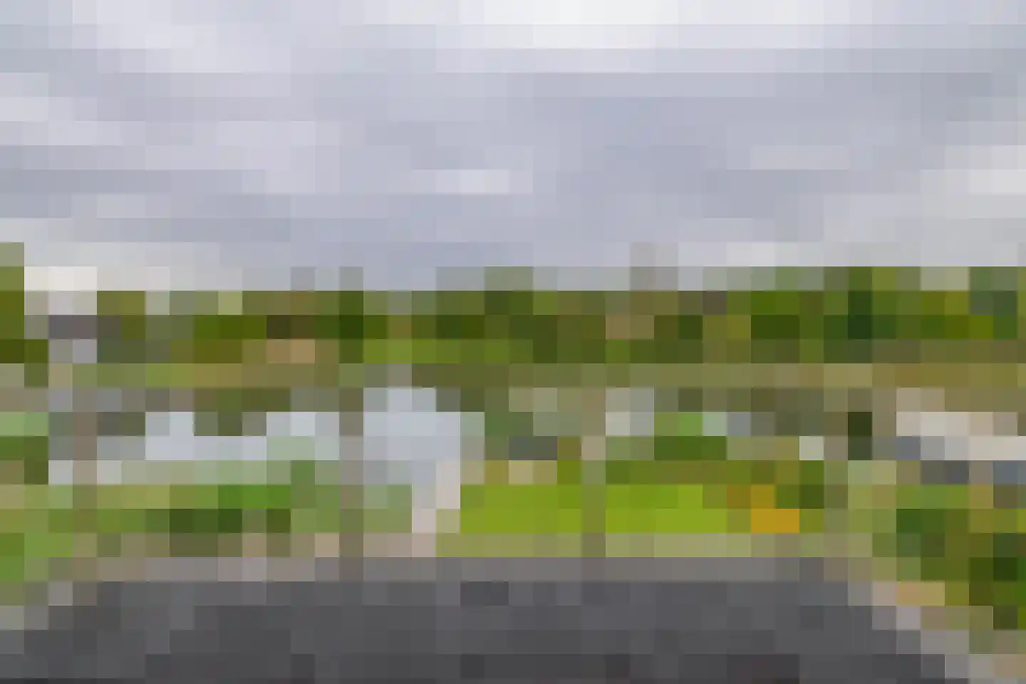 Broekfinne 169 De Wilgen thumbnail 22