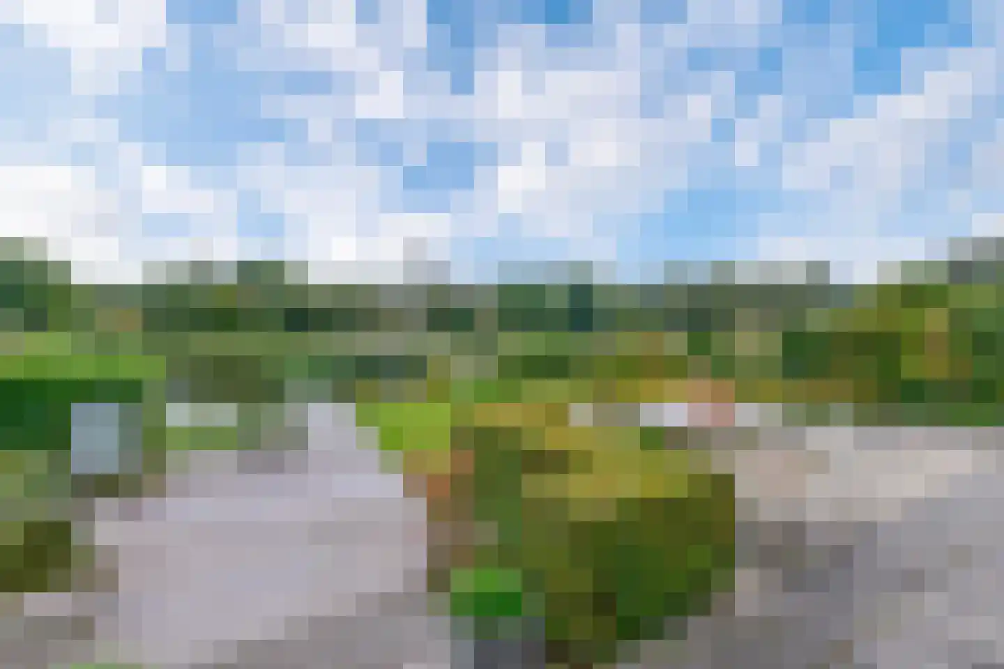 Broekfinne 169 De Wilgen thumbnail 31