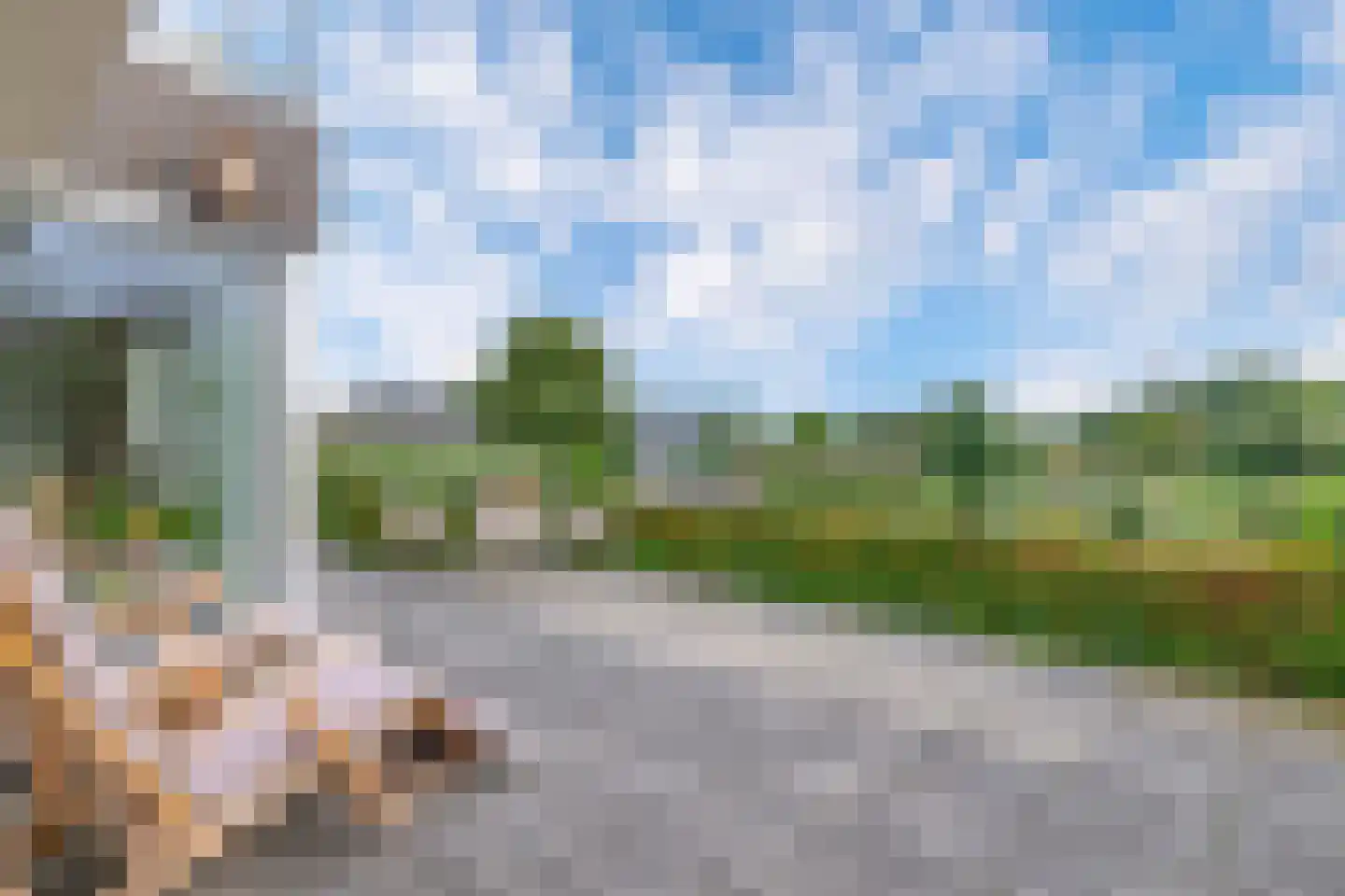 Broekfinne 169 De Wilgen thumbnail 32