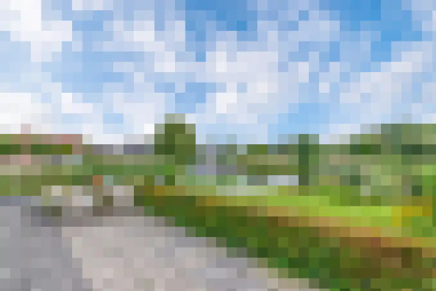 Broekfinne 169 De Wilgen thumbnail 33