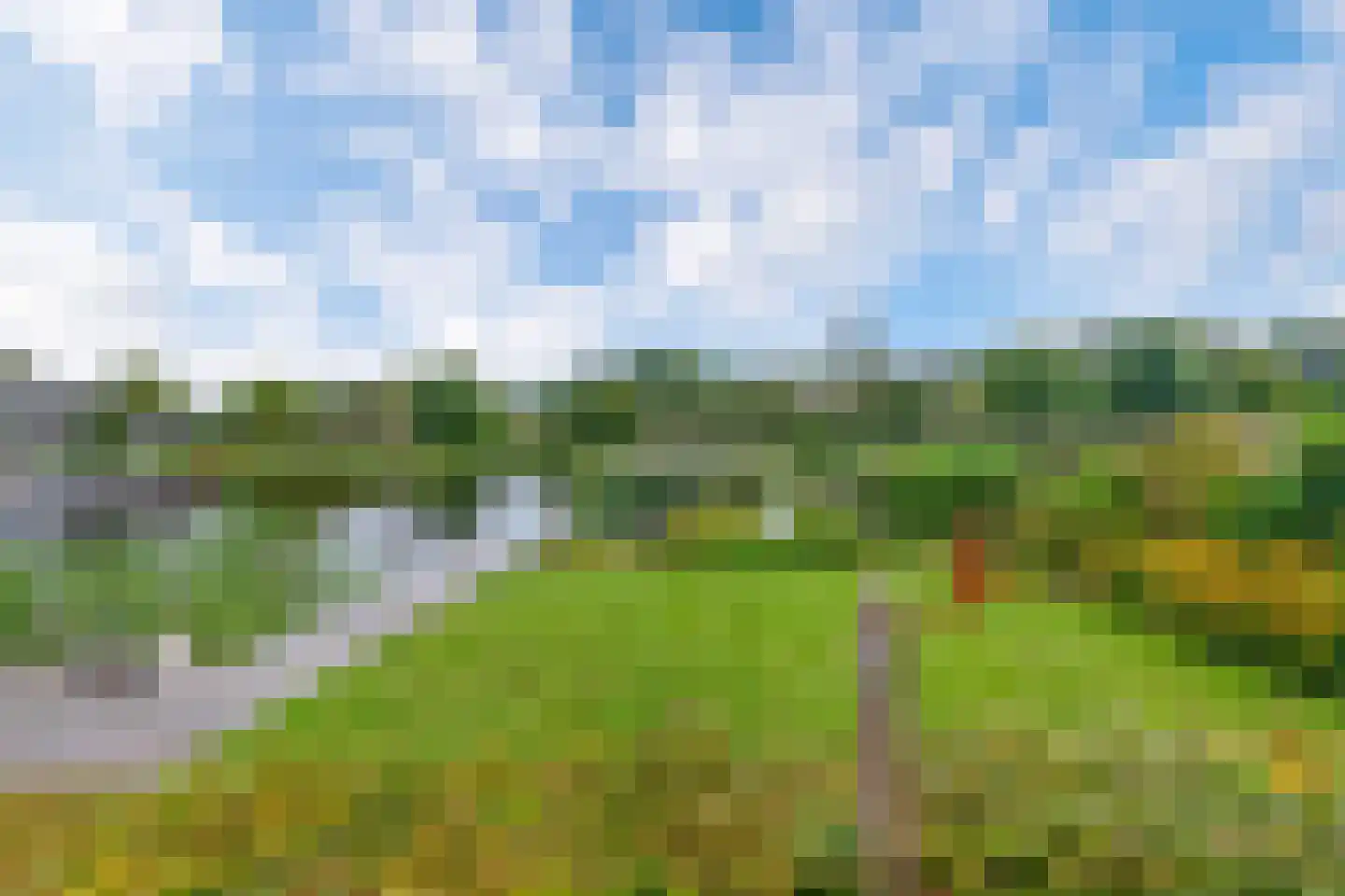 Broekfinne 169 De Wilgen thumbnail 34