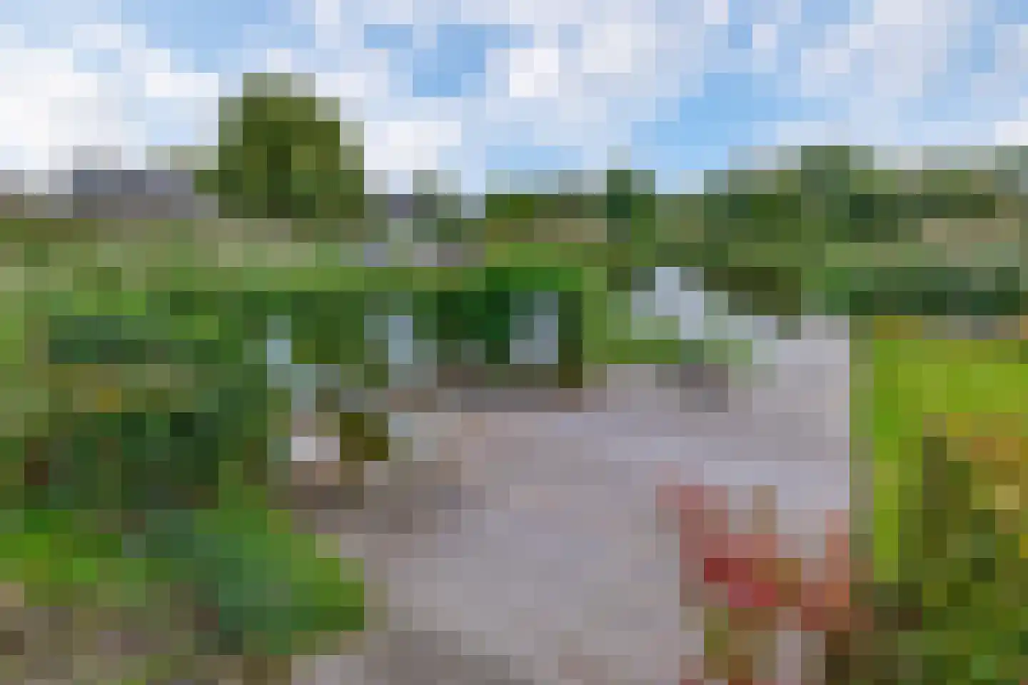 Broekfinne 169 De Wilgen thumbnail 35