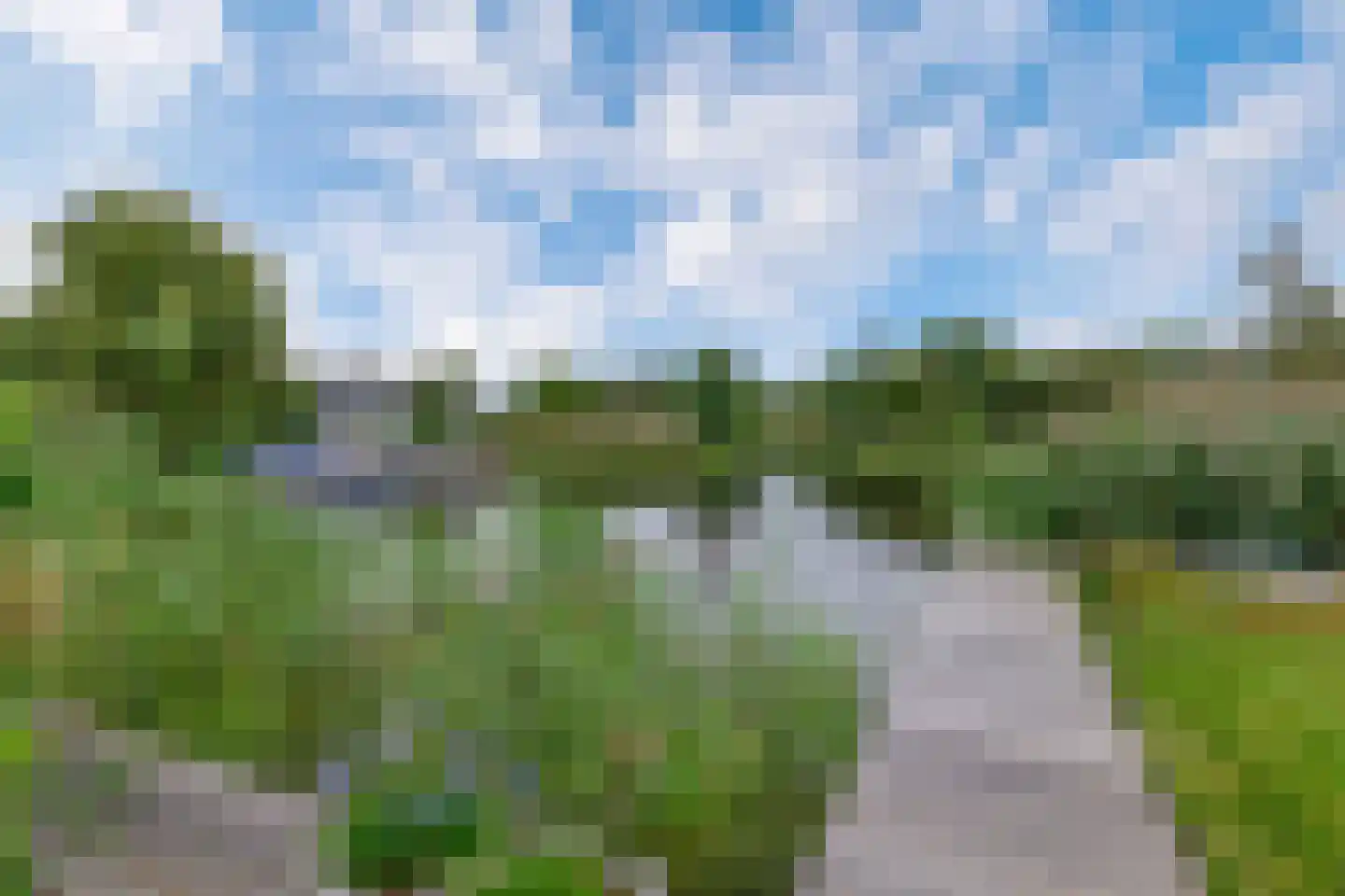 Broekfinne 169 De Wilgen thumbnail 36