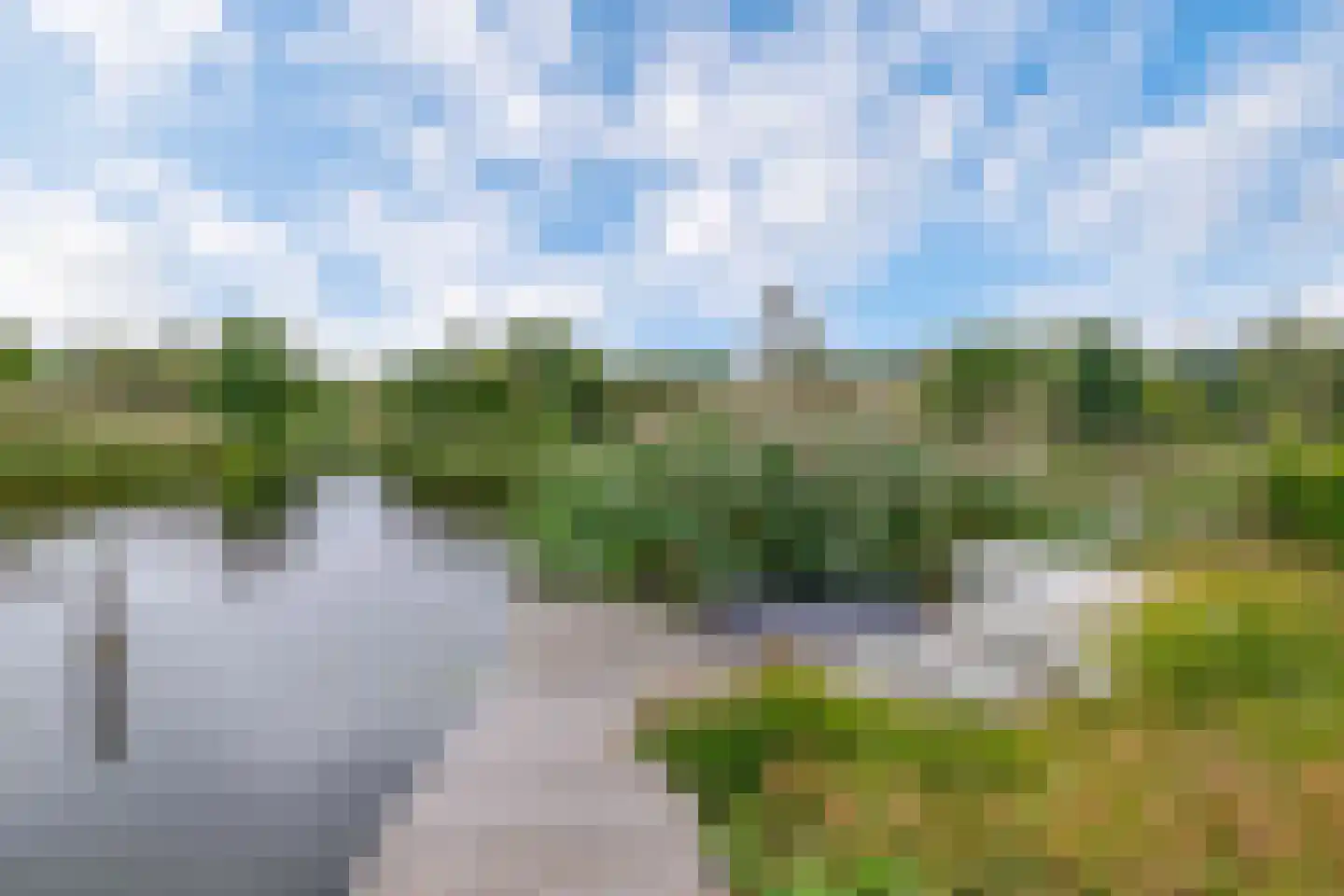 Broekfinne 169 De Wilgen thumbnail 37
