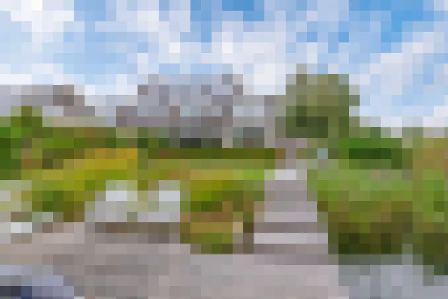 Broekfinne 169 De Wilgen thumbnail 38