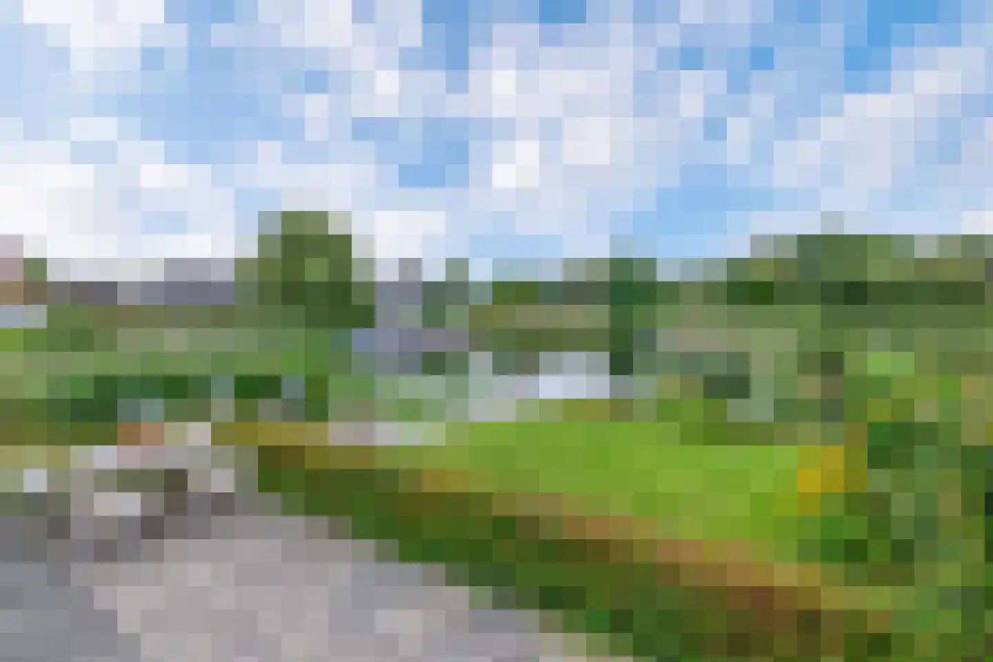 Broekfinne 169 De Wilgen thumbnail 4