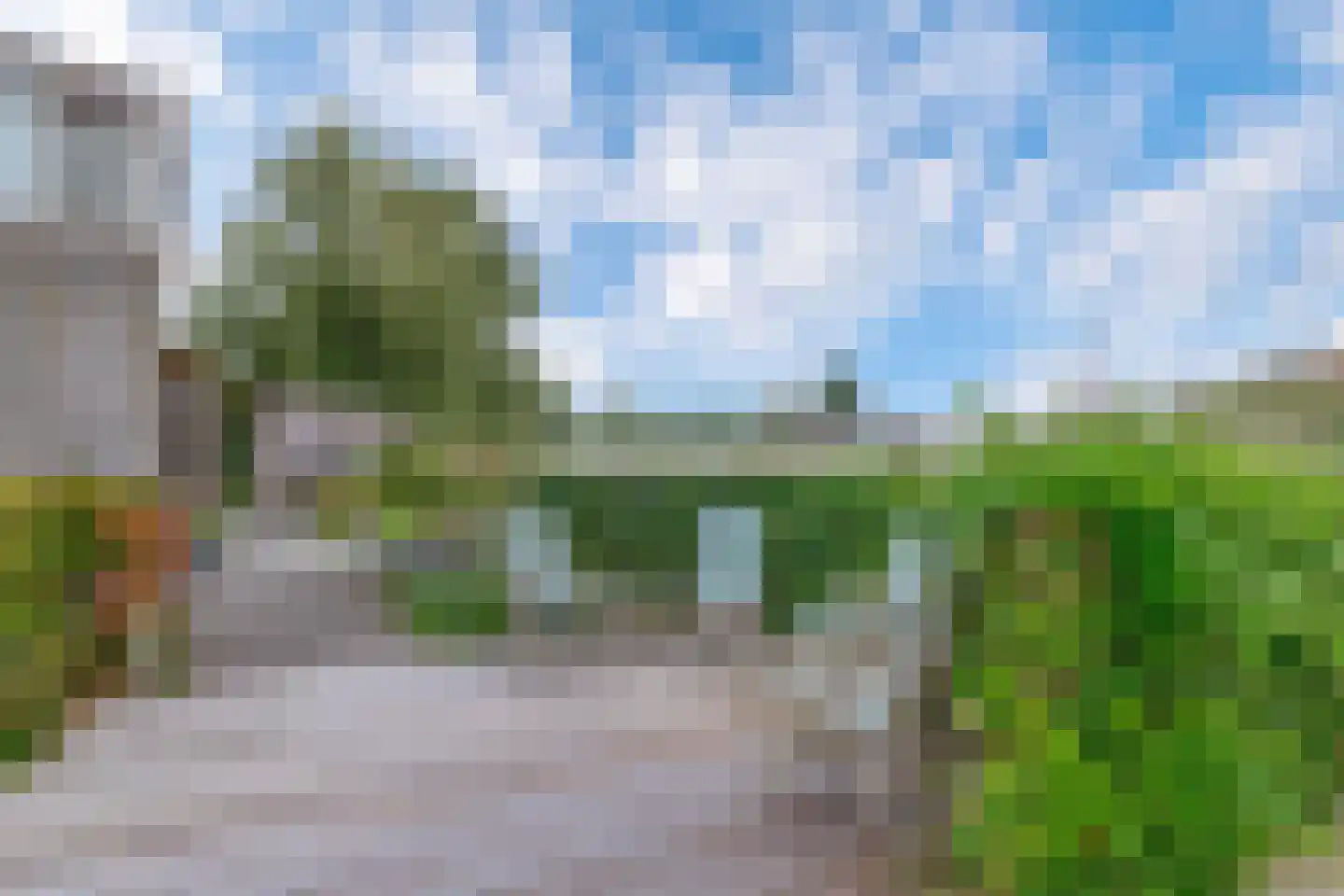 Broekfinne 169 De Wilgen thumbnail 40