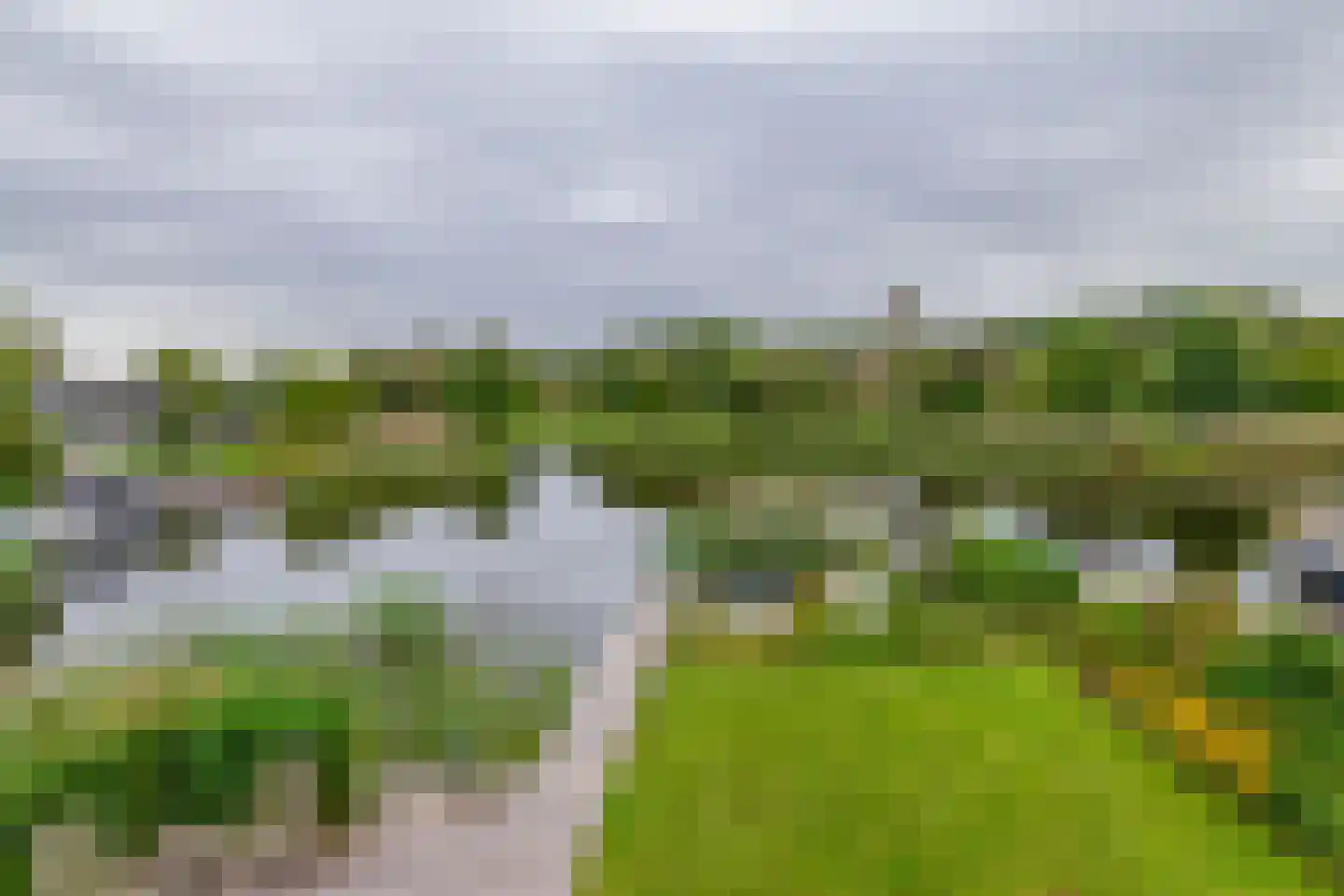 Broekfinne 169 De Wilgen thumbnail 41