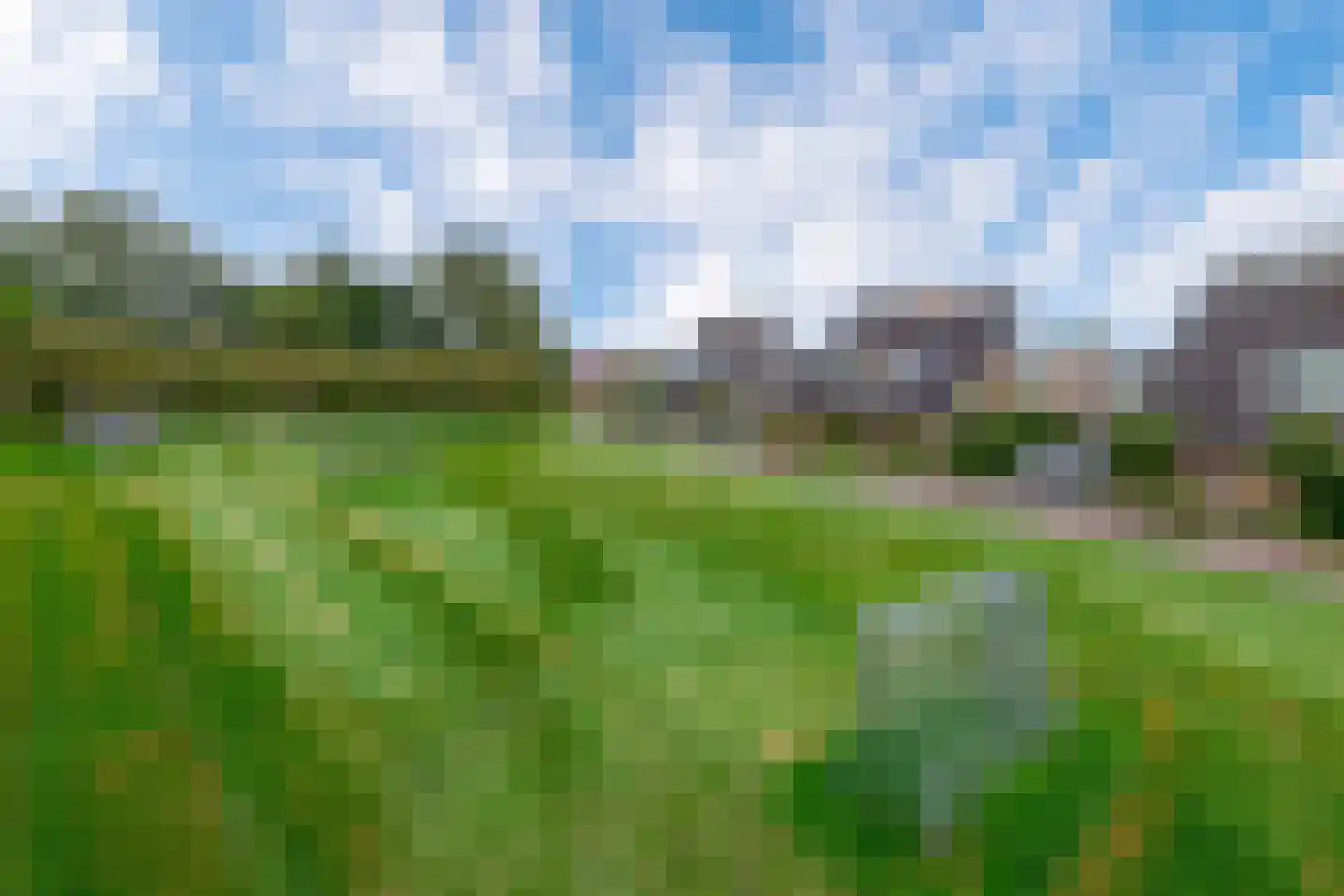 Broekfinne 169 De Wilgen thumbnail 44