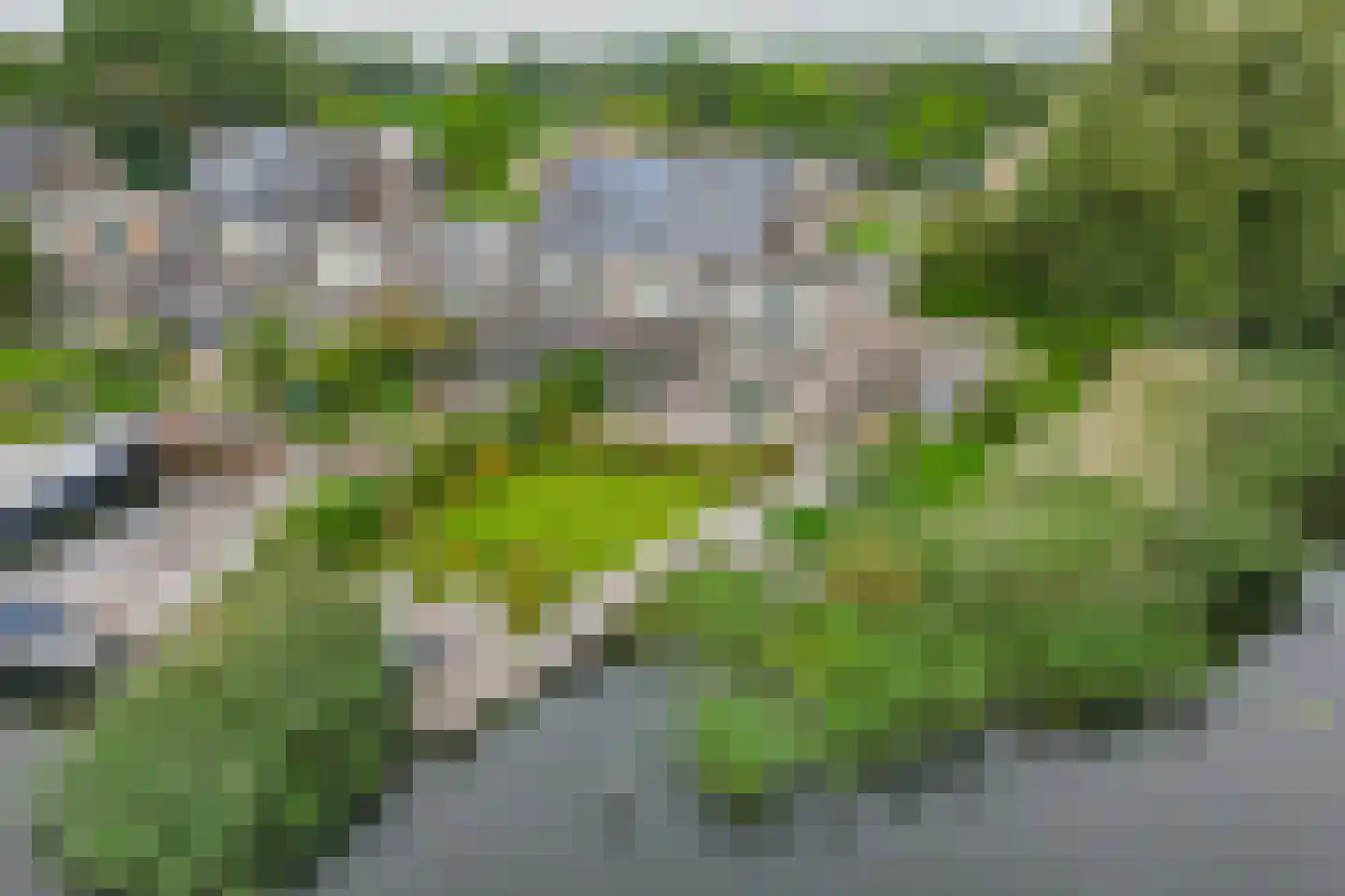 Broekfinne 169 De Wilgen thumbnail 45