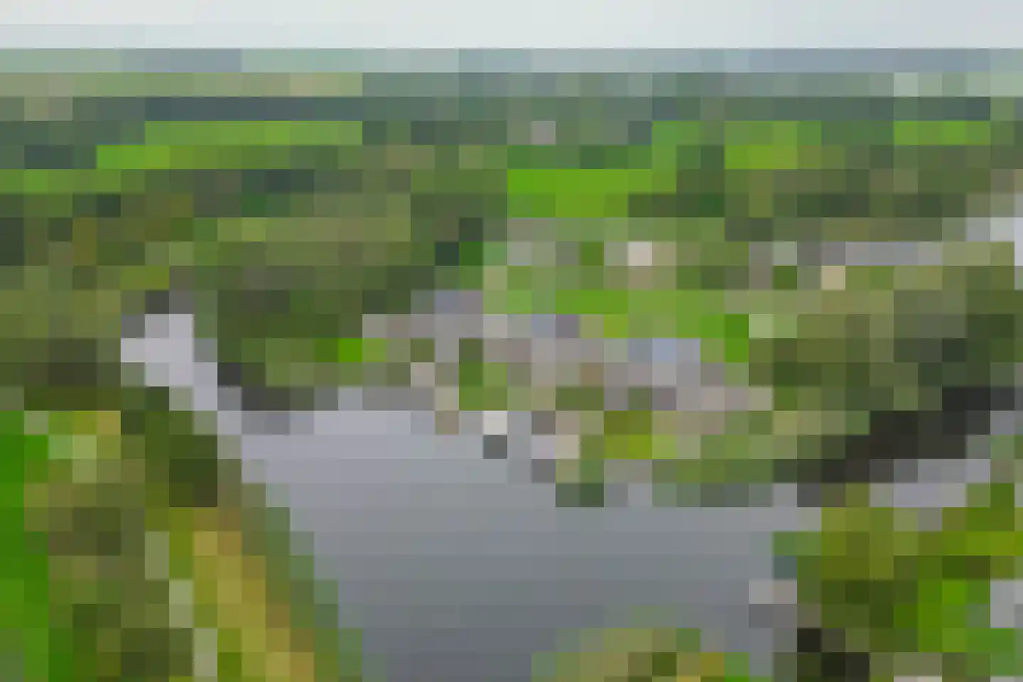 Broekfinne 169 De Wilgen thumbnail 46