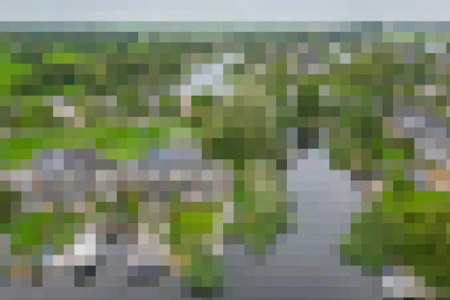 Broekfinne 169 De Wilgen thumbnail 47