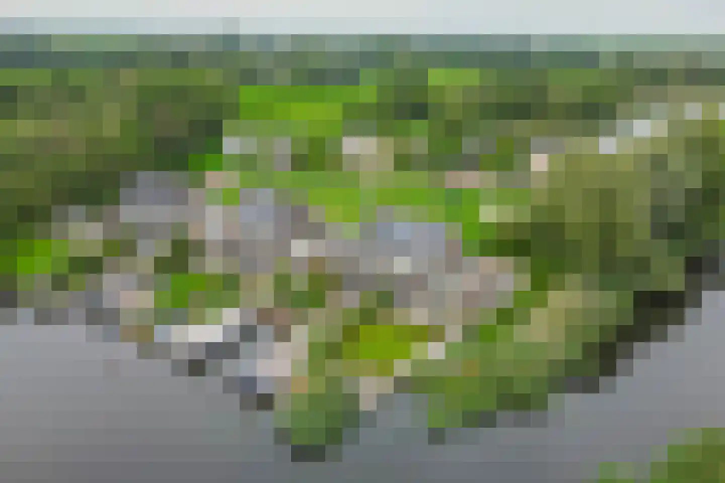 Broekfinne 169 De Wilgen thumbnail 48