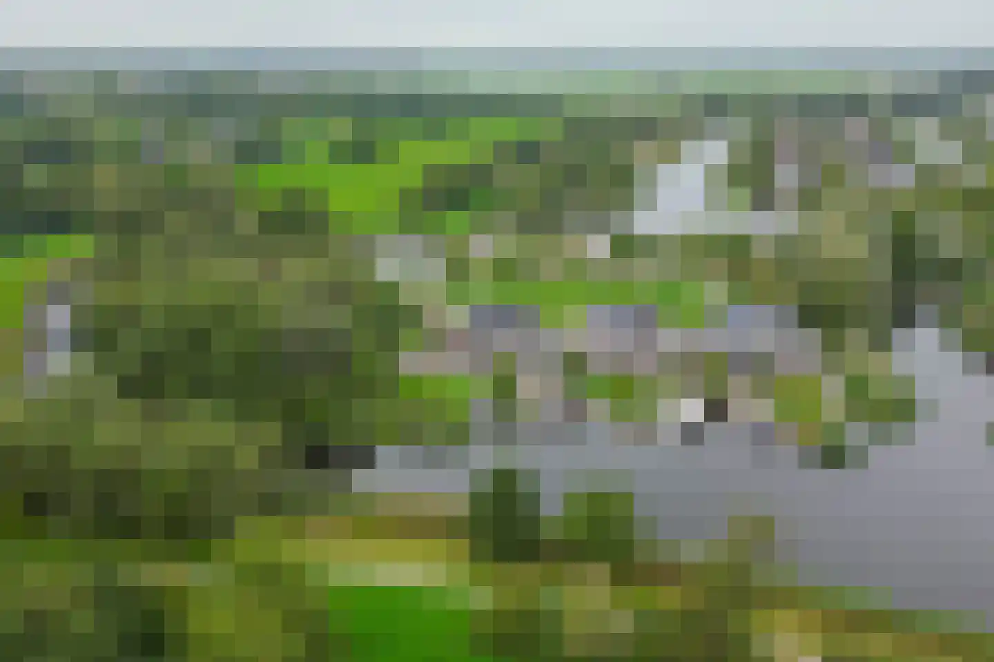 Broekfinne 169 De Wilgen thumbnail 49