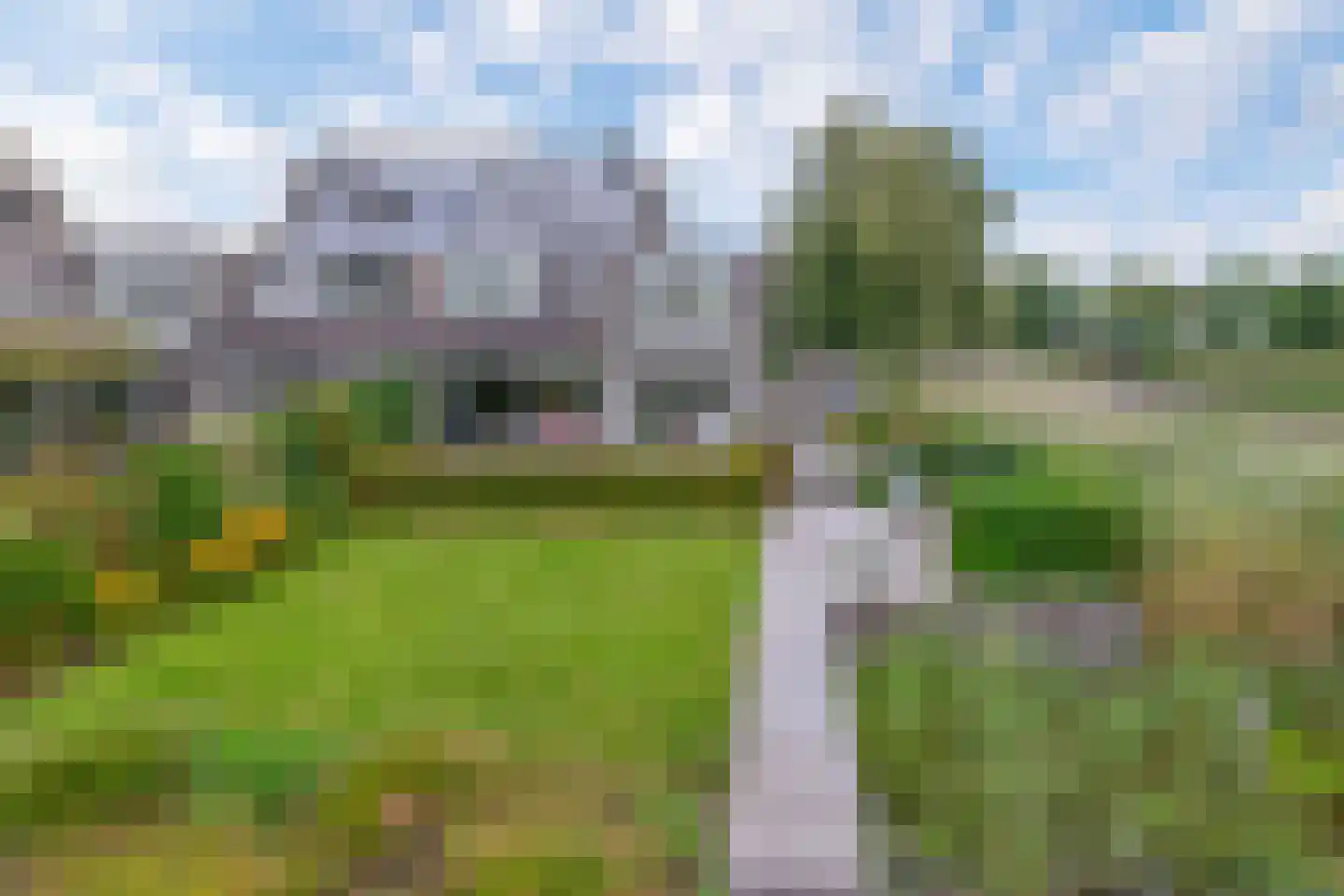 Broekfinne 169 De Wilgen thumbnail 5