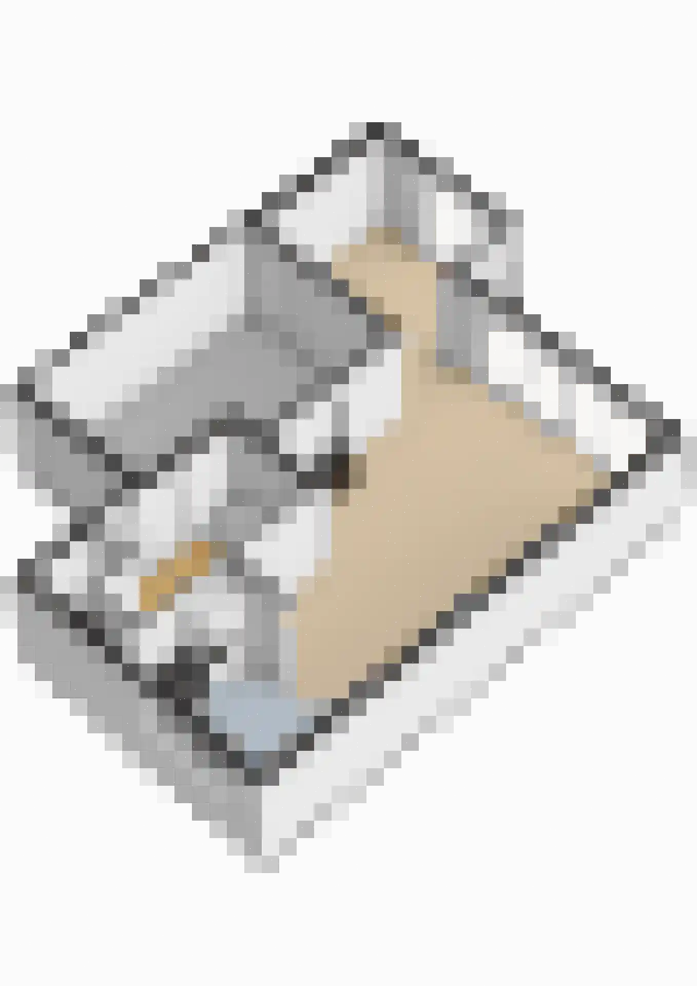Broekfinne 169 De Wilgen thumbnail 51