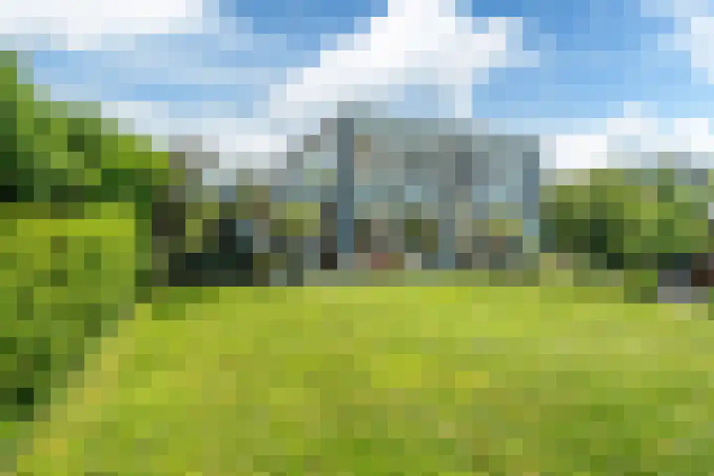 Broekfinne 38 De Wilgen thumbnail 10
