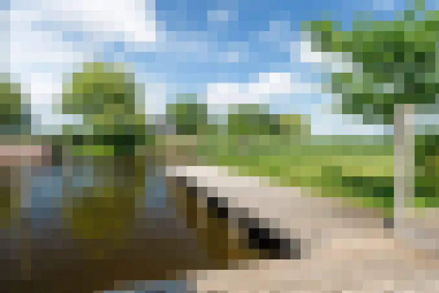 Broekfinne 38 De Wilgen thumbnail 12