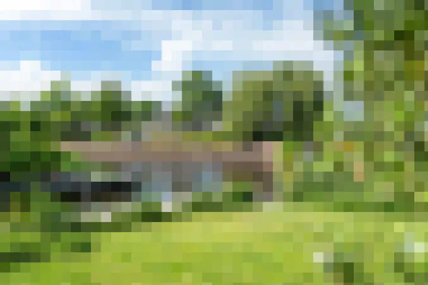 Broekfinne 38 De Wilgen thumbnail 13