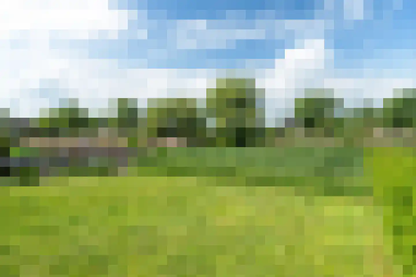 Broekfinne 38 De Wilgen thumbnail 15