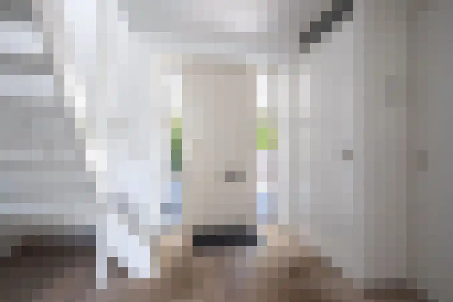 Broekfinne 38 De Wilgen thumbnail 17