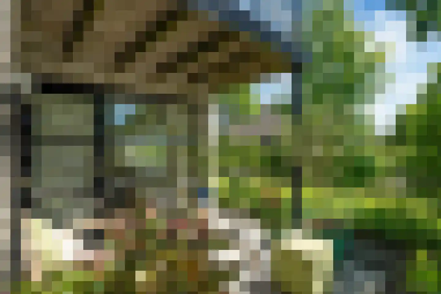 Broekfinne 38 De Wilgen thumbnail 32
