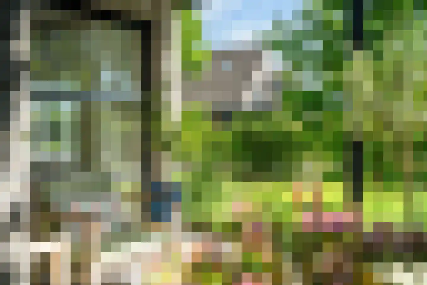 Broekfinne 38 De Wilgen thumbnail 33