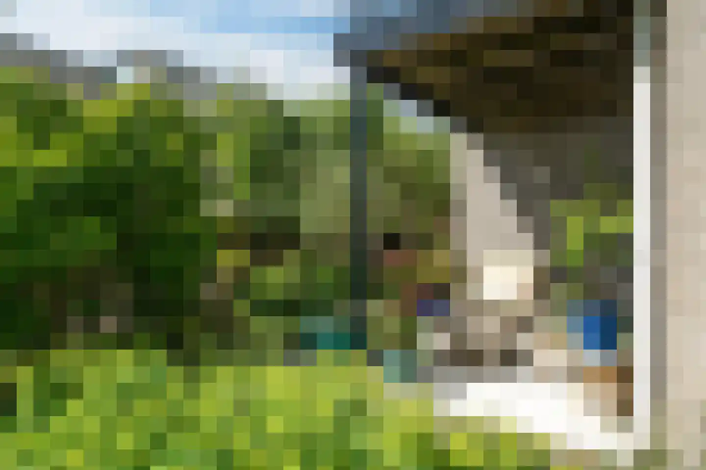 Broekfinne 38 De Wilgen thumbnail 34