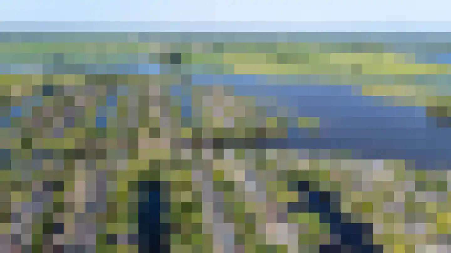 Broekfinne 38 De Wilgen thumbnail 4