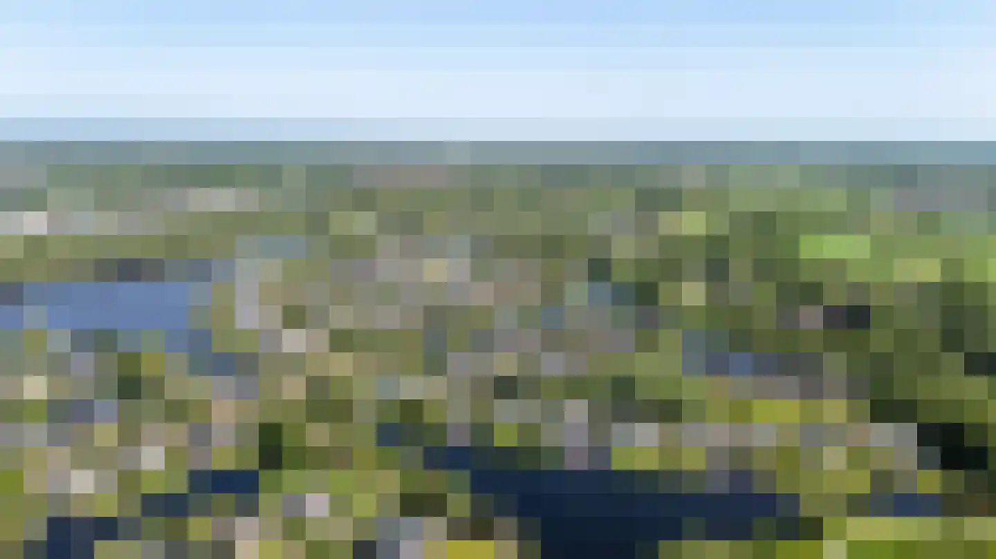 Broekfinne 38 De Wilgen thumbnail 5