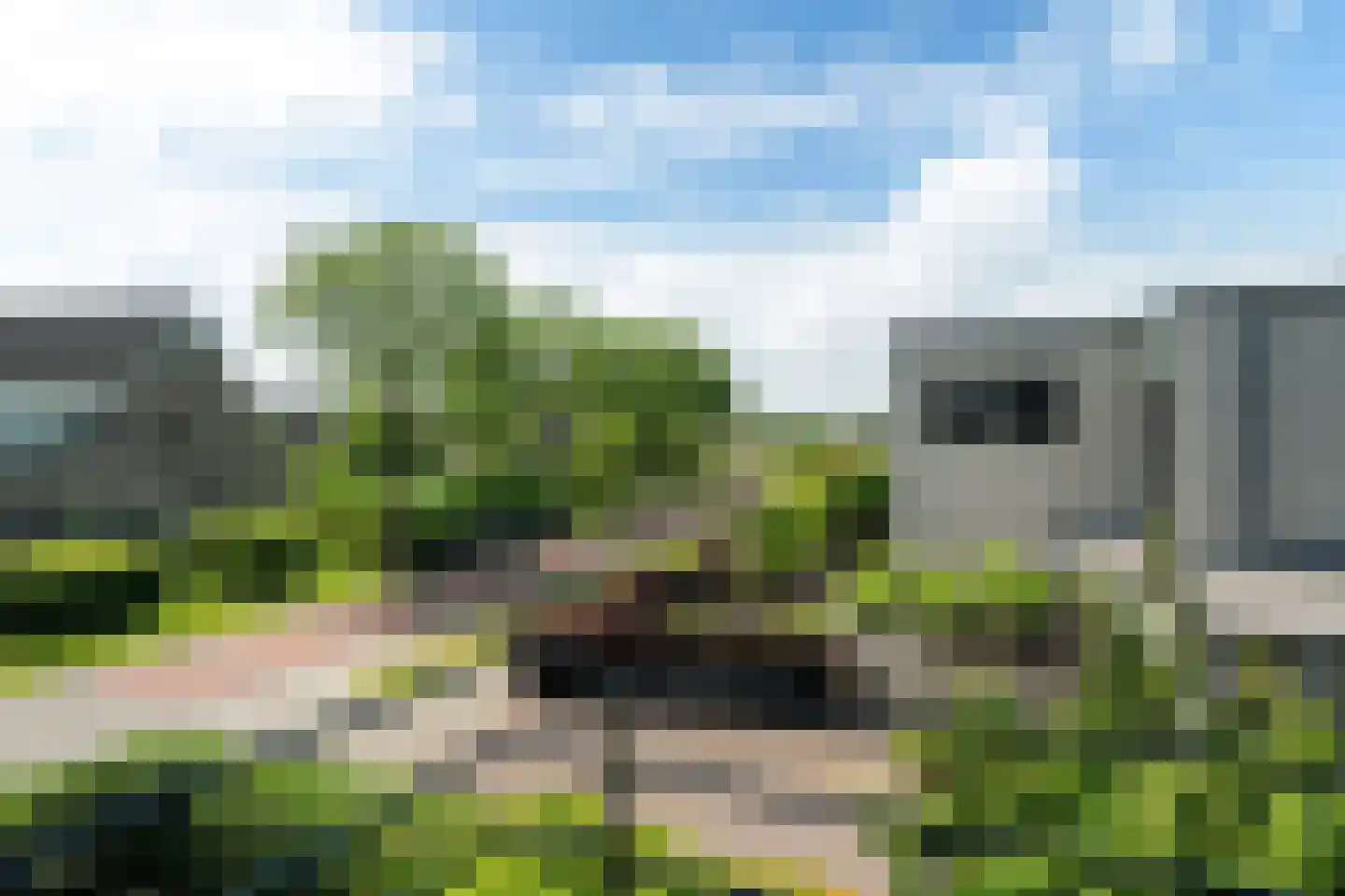 Broekfinne 38 De Wilgen thumbnail 51