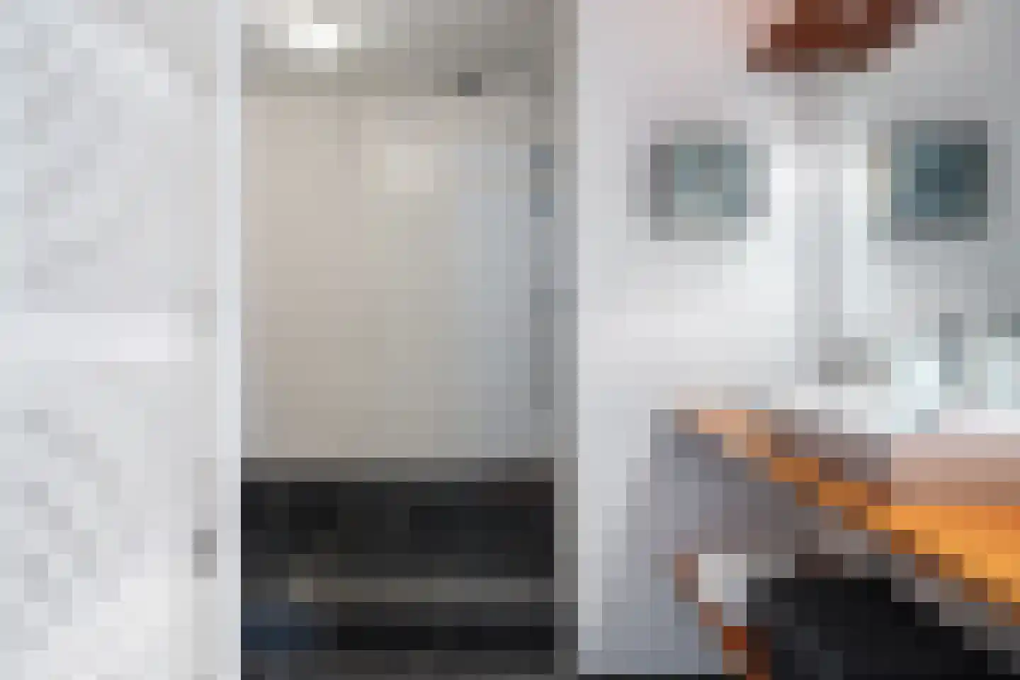 Broekfinne 38 De Wilgen thumbnail 58