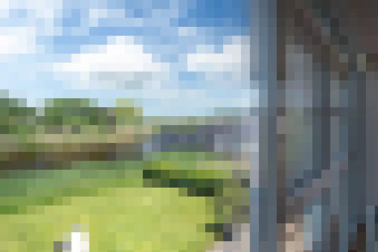 Broekfinne 38 De Wilgen thumbnail 59