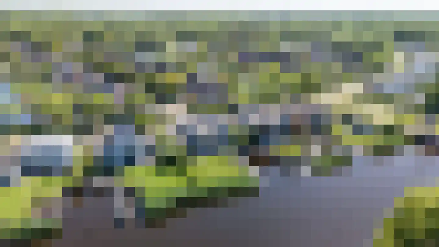 Broekfinne 38 De Wilgen thumbnail 6