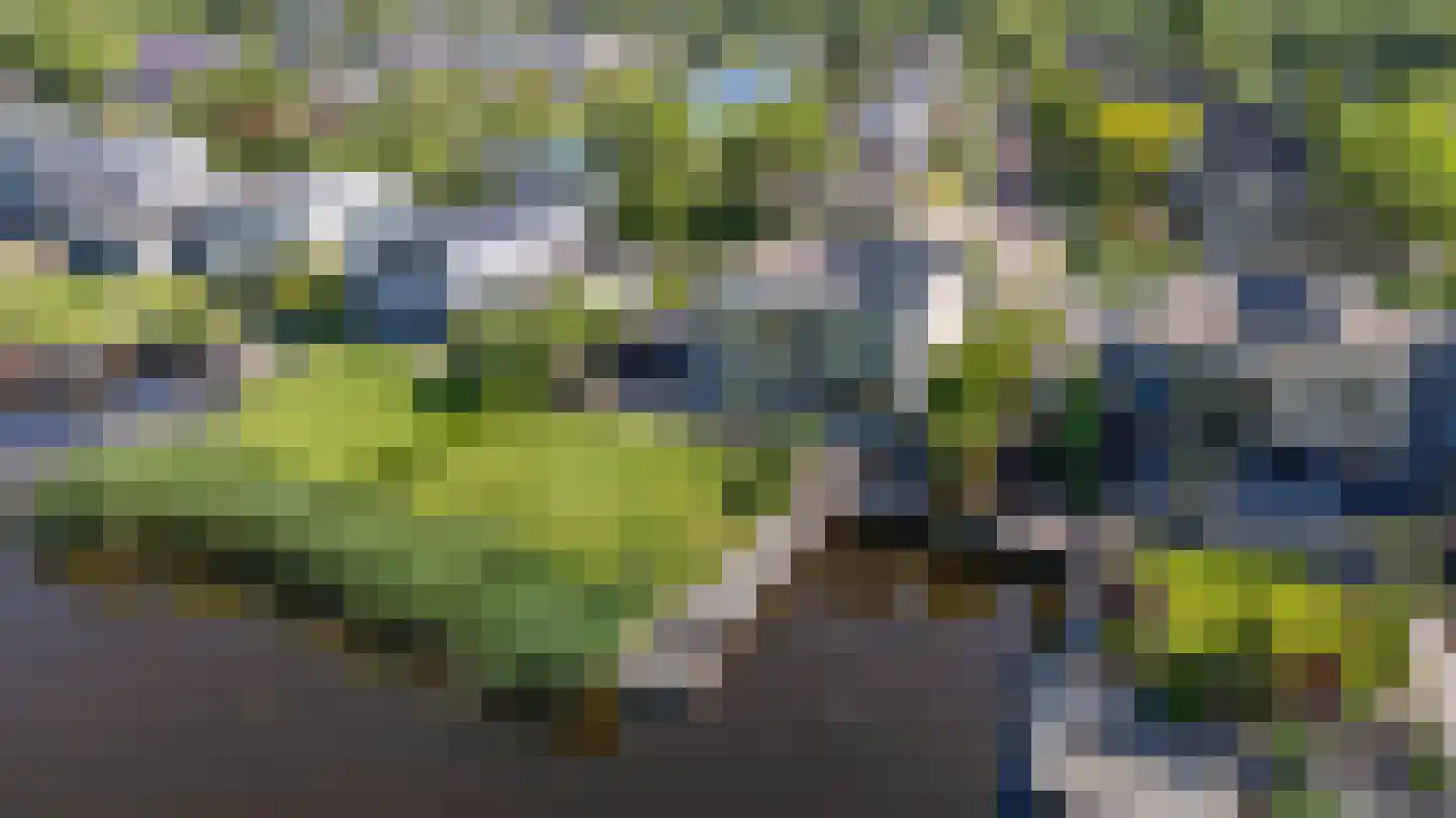 Broekfinne 38 De Wilgen thumbnail 67
